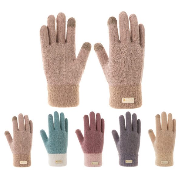 Student Riding Thickened Warm Double-layer Touch Screen Gloves - Image 7