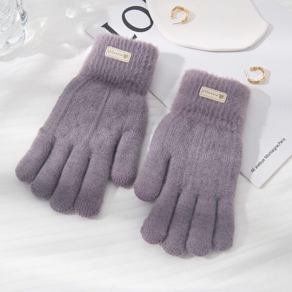 Student Riding Thickened Warm Double-layer Touch Screen Gloves - Image 10