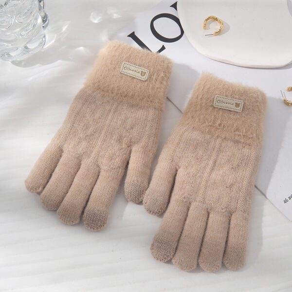 Student Riding Thickened Warm Double-layer Touch Screen Gloves - Image 4
